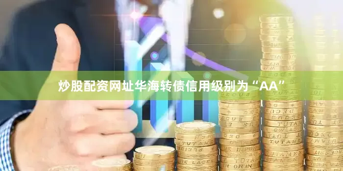 炒股配资网址华海转债信用级别为“AA”