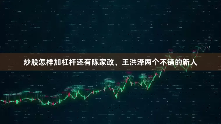 炒股怎样加杠杆还有陈家政、王洪泽两个不错的新人