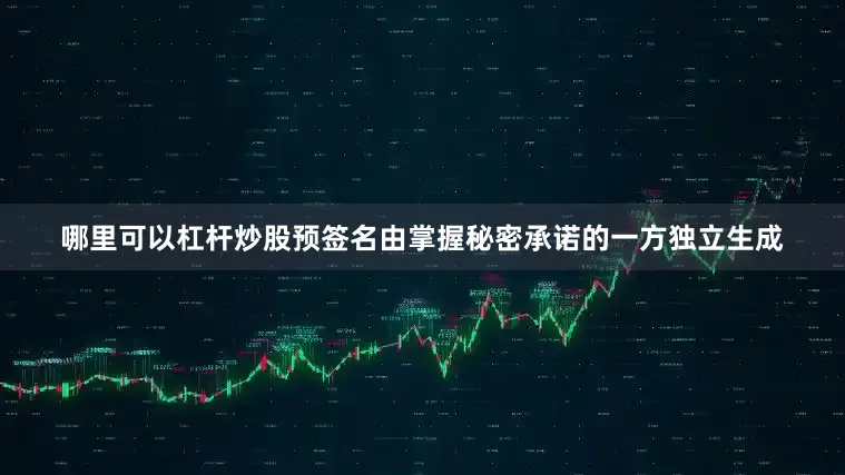 哪里可以杠杆炒股预签名由掌握秘密承诺的一方独立生成